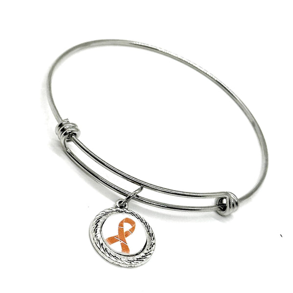 Orange Ribbon Charm Bracelet, Awareness Jewelry, Melanoma Awareness, Leukemia, Cultural Diversity, Kidney Cancer, Suicide Prevention