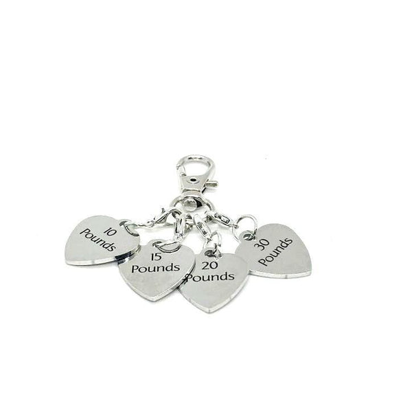 Weight Loss Tracker Clip On Charms, Weight Loss Celebration Key Chain, Weight Goals, Celebration Gifts, Gift For Her, Pounds Lost