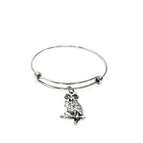 Owl Lover Gift, Owl Bracelet, Owl Jewelry, Gift For Her, Wisdom Gift, Graduation Gift, Gift For Graduate, Smarty Gift, Owl Charm Bracelet