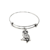 Owl Lover Gift, Owl Bracelet, Owl Jewelry, Gift For Her, Wisdom Gift, Graduation Gift, Gift For Graduate, Smarty Gift, Owl Charm Bracelet