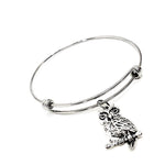 Owl Lover Gift, Owl Bracelet, Owl Jewelry, Gift For Her, Wisdom Gift, Graduation Gift, Gift For Graduate, Smarty Gift, Owl Charm Bracelet