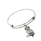 Owl Lover Gift, Owl Bracelet, Owl Jewelry, Gift For Her, Wisdom Gift, Graduation Gift, Gift For Graduate, Smarty Gift, Owl Charm Bracelet