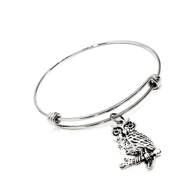 Owl Lover Gift, Owl Bracelet, Owl Jewelry, Gift For Her, Wisdom Gift, Graduation Gift, Gift For Graduate, Smarty Gift, Owl Charm Bracelet