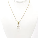 Mustard Seed Necklace, Mustard Seed Charm Necklace, Teardrop Mustard Seed Pendant, Mustard Seed Faith, Mustard Seed Necklace Gift For Her