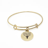 Gastric Sleeve Medical Charm Bracelet, Gastric Sleeve Awareness, Gastric Sleeve Jewelry, No Blind NG, No NSAIDS, Medical Notification