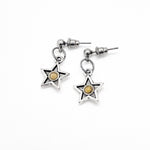 Mustard Seed Star Earrings,  Mustard Seed Jewelry, Matthew 17 20, Mustard Seed Faith Jewelry, Bible Verse Gift, Scripture Gifts, Faith Gift